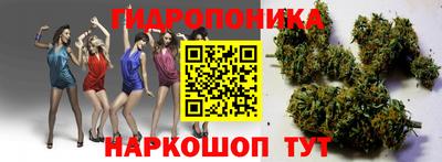эйфоретик Аргун