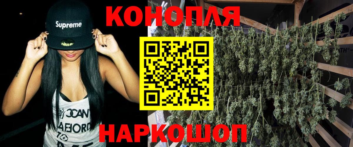 Каннабис семена  Каннабис планчик  Конопля White Widow  Баксан  Бошки Шишки SATIVA & INDICA  Вход с VPN 